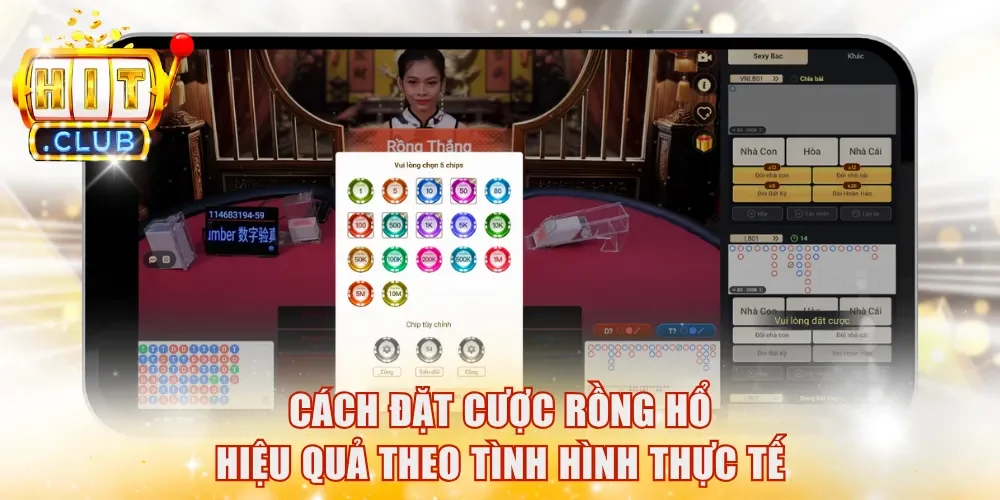 Cách đặt cược Rồng Hổ hiệu quả theo tình hình thực tế