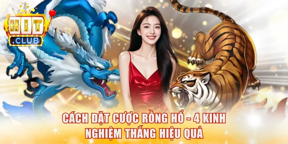 Cách đặt cược Rồng Hổ